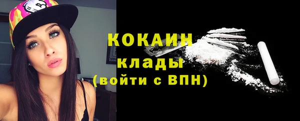 ПСИЛОЦИБИНОВЫЕ ГРИБЫ Коряжма