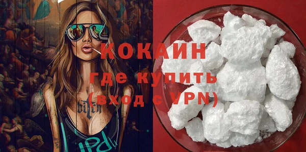 ГАЛЛЮЦИНОГЕННЫЕ ГРИБЫ Строитель
