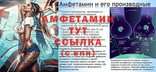 ПСИЛОЦИБИНОВЫЕ ГРИБЫ Коряжма