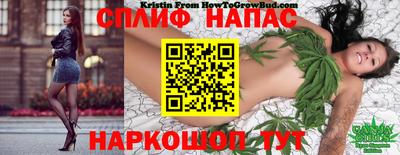 МДПВ Канаш