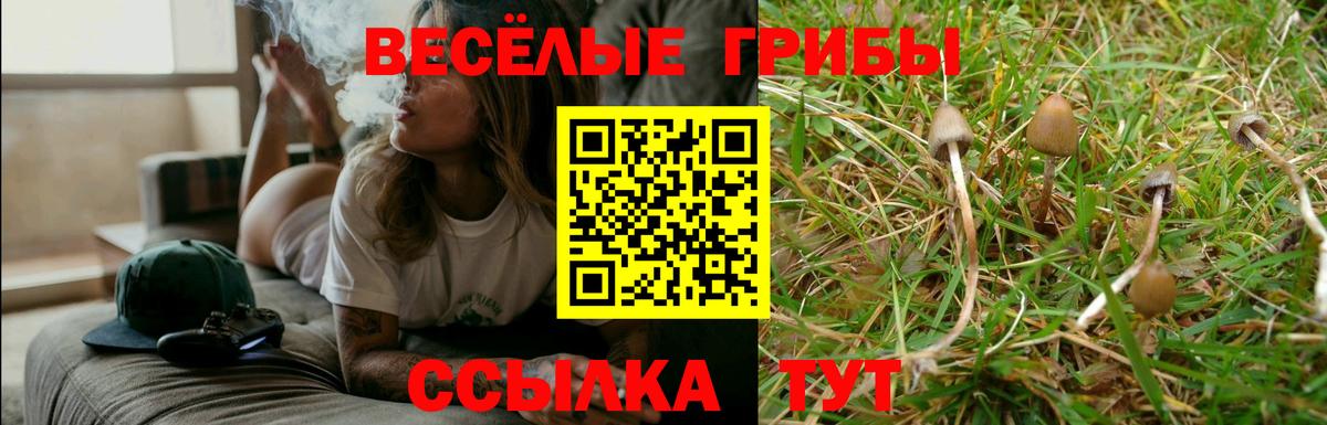 Псилоцибиновые грибы Cubensis  Вход с VPN  Сокол 