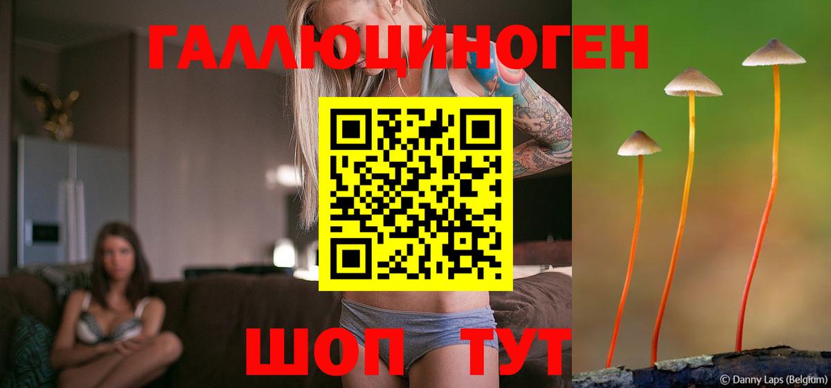 Галлюциногенные грибы ЛСД Сокол