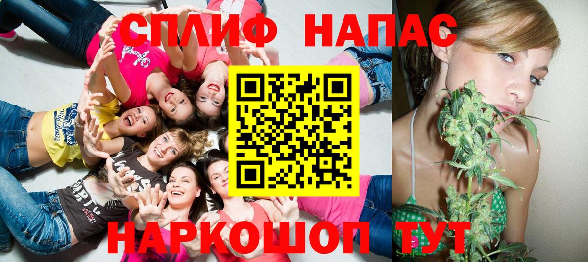 Конопля индика  Вход с VPN  Сокол  Шишки марихуана White Widow 
